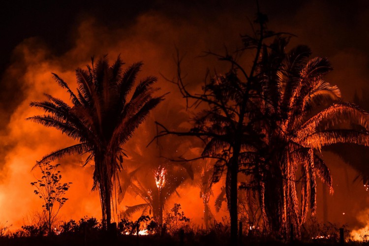 Incêndios florestais na Amazônia