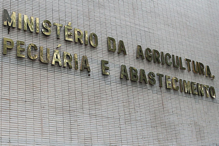 Brasília - Auditores fiscais do Ministério da Agricultura se reúnem e fazem ato público para prestar esclarecimentos à sociedade sobre a importância do trabalho de fiscalização (Wilson Dias/Agência Brasil)