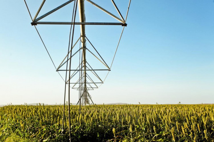 Crédito poderá ser usado para obras de irrigação