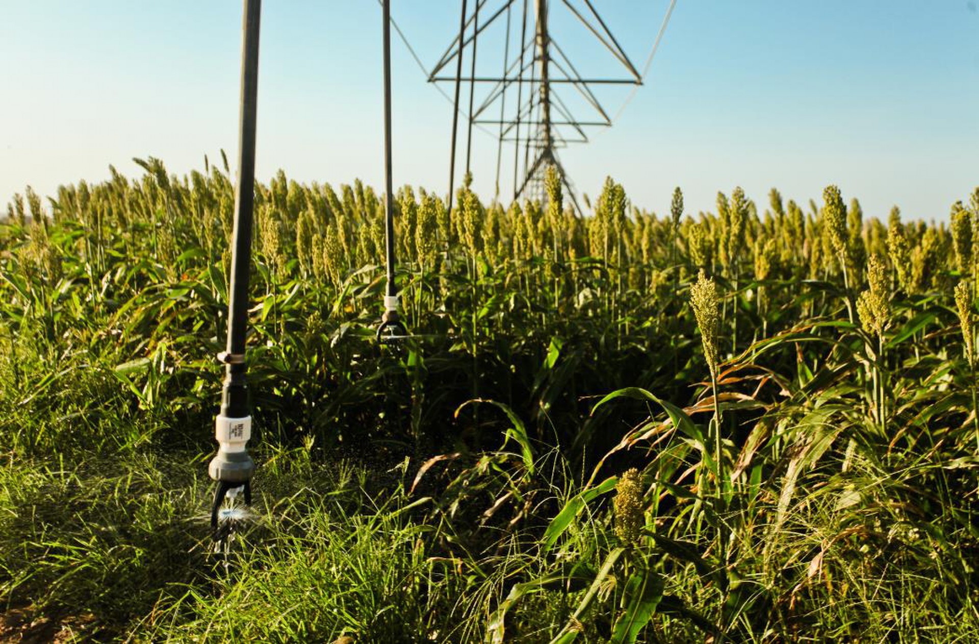 Governo Federal quer qualificar ao Programa de Parcerias de Investimentos (CPPI) projetos de irrigação em sete estados (Foto: Ethi Arcanjo em 10/10/2016)