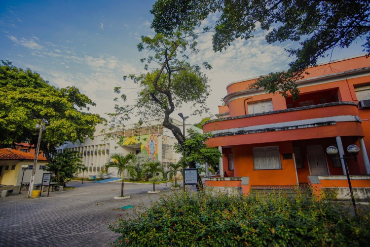 Servidores da Universidade Federal do Ceará retomam atividades presenciais no dia 1º de outubro