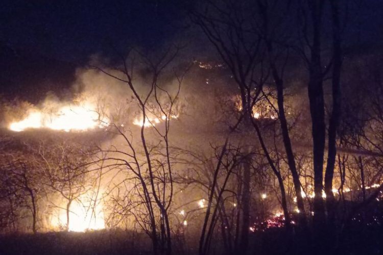 Na madrugada deste domingo, 19, focos de incêndio foram debelados próximos a residências