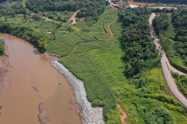 Animais silvestres estão retornando à região de Brumadinho