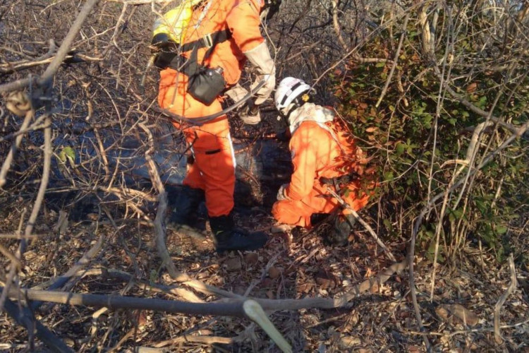 Bombeiros atuam em quatro regiões atingidas por incêndios florestais