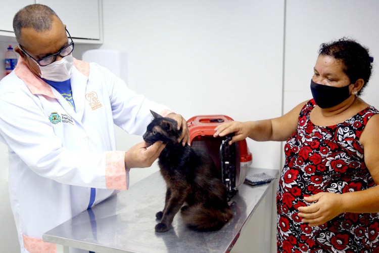 Atuam no Vetmóvel médicos veterinários, clínicos gerais, cirurgiões e anestesista 

