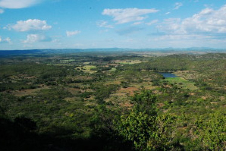 Geossítio Colina do Horto, situado na cidade de Juazeiro do Norte 