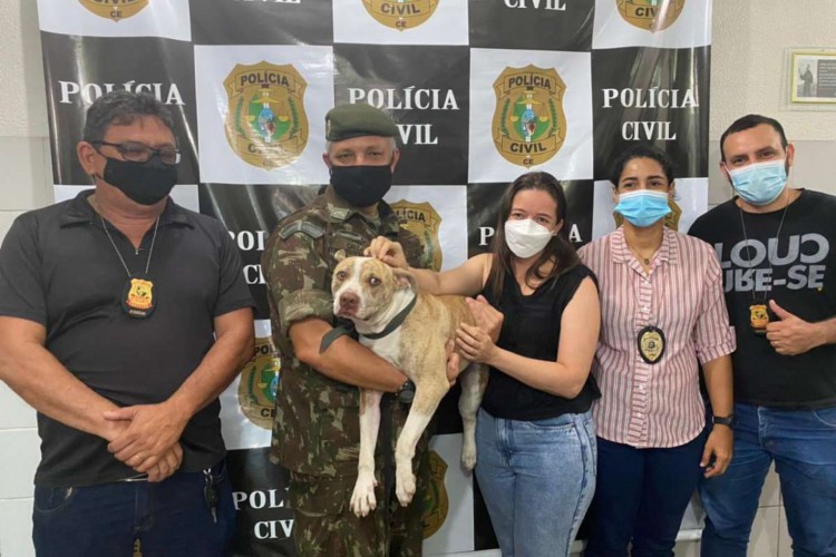 Heitor sofreu um acidente e foi resgatado por um motorista que passava na via