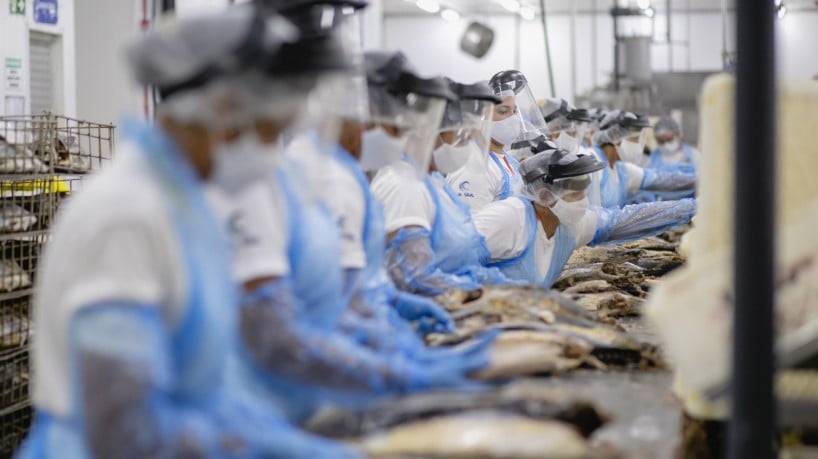  Pescados, de um modo geral, estiveram entre os produtos mais exportados e com alta de 48,4%.