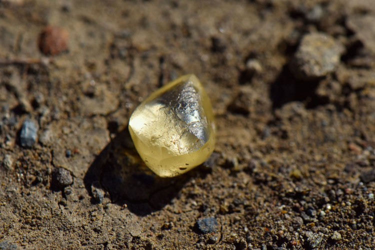 Diamante tem coloração amarelada e pesa 4,38 quilates, pouco menos de um grama; é a maior pedra preciosa encontrada no parque este ano