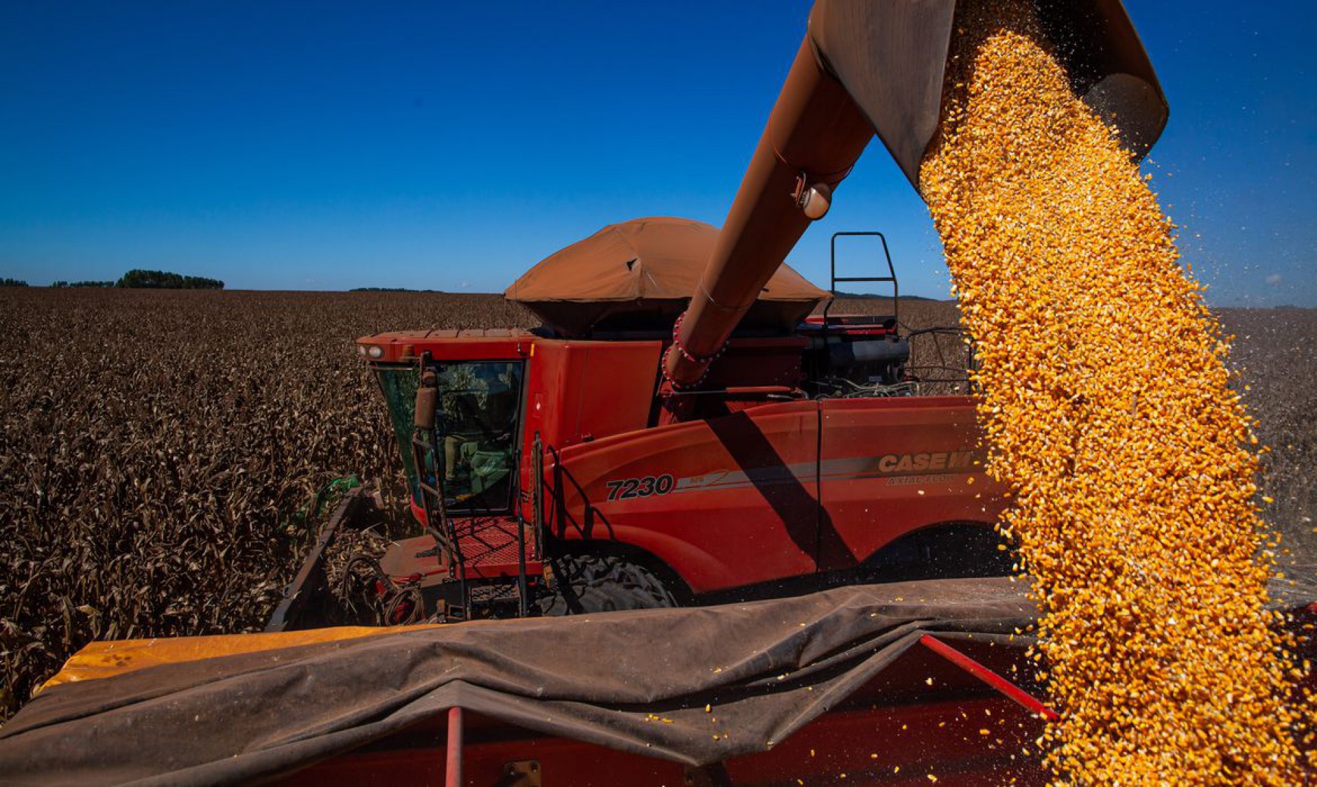 ￼PIB do agronegócio no Nordeste puxou resultado positivo com atuação do Matopiba (Foto: CNA/Wenderson Araujo/Trilux)