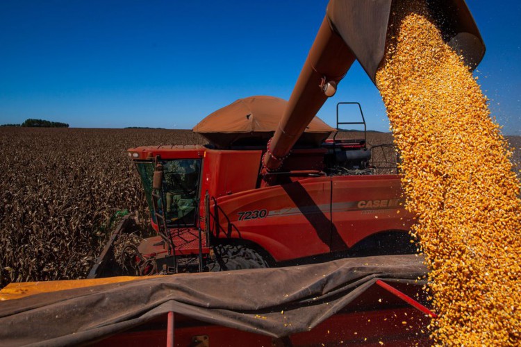 ￼PIB do agronegócio no Nordeste puxou resultado positivo com atuação do Matopiba