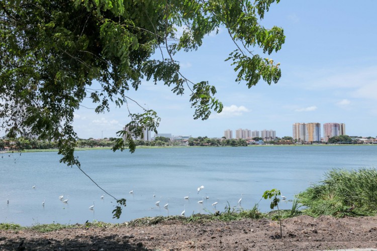 O espelho d'água da Lagoa de Parangaba é tombado em âmbito municipal pela lei nº 6.201, de 27 de maio de 1987