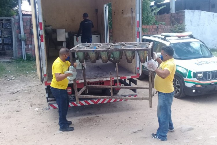 Abatedouro foi interditado no bairro Vila Velha, em Fortaleza