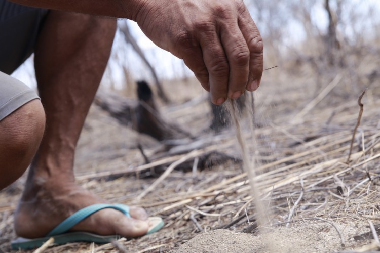 IRAUÇUBA, CE, BRASIL, 21-11-2017: Detalhe de areia. Desertificação no município de Irauçuba. (Foto: Júlio Caesar/O POVO)-