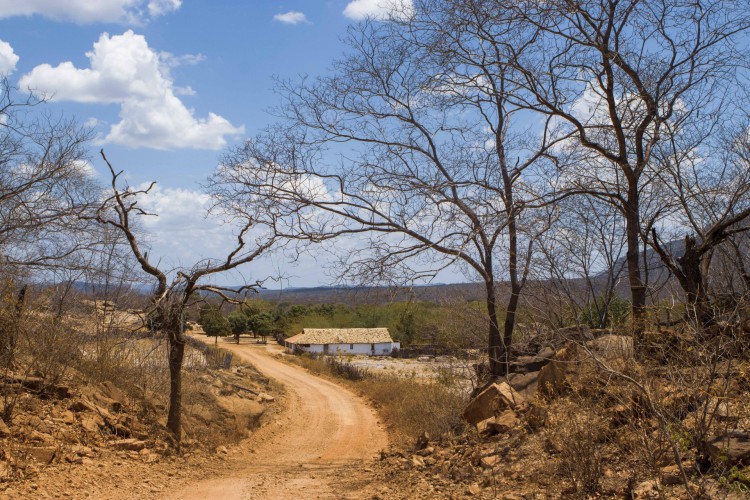 ￼Ceará é o único estado do Nordeste com todo o seu território suscetível à desertificação