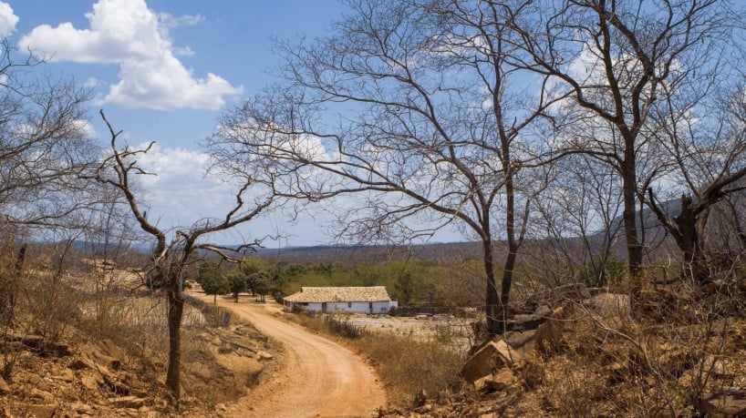 ￼Ceará é o único estado do Nordeste com todo o seu território suscetível à desertificação