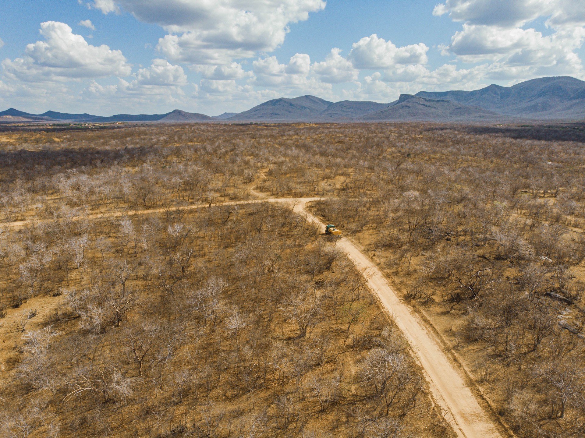 Paisagem desolada em Canindé(Foto: FCO FONTENELE)