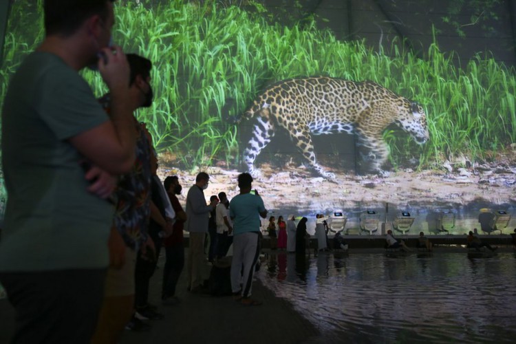 Pavilhão Brasil na Expo Dubai 2020.