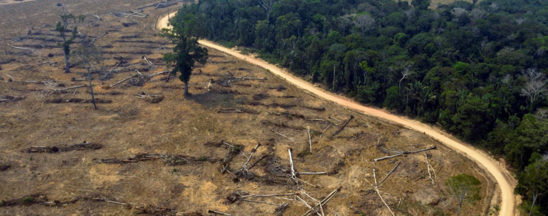 Incêndios crescem em maio na Amazônia brasileira e batem recorde no Cerrado (Foto: CARLOS FABAL / AFP)