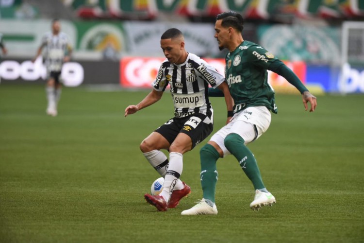 Palmeiras joga contra o Santos hoje, domingo, 13, pelo Campeonato Paulista 2022; veja onde assistir ao vivo aos jogos do dia e horário. 