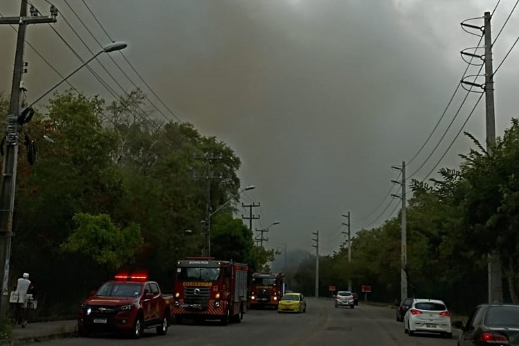 Incêndio em área de 20 hectares no Parque do Cocó resulta em fumaça na avenida Murilo Borges na manhã desta quinta-feira, 18