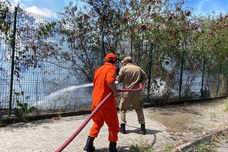 Incêndio no Parque do Cocó já se estende por cerca de 17 horas