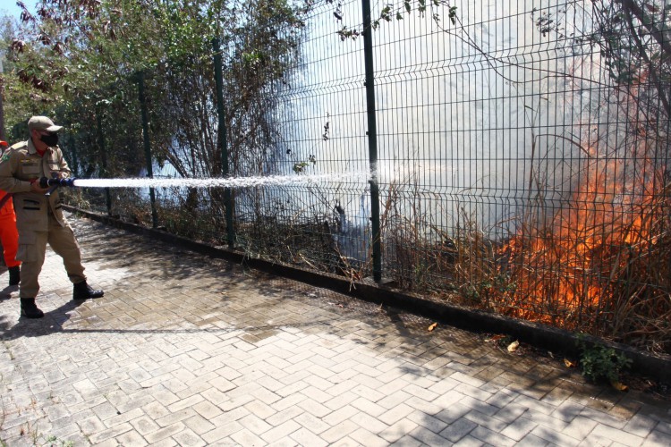 Bombeiros tentam debelar focos de incêndio no Parque do Cocó, na quinta-feira, 18 de novembro