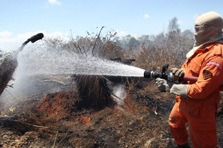 Bombeiros fazem vistoria no Parque do Cocó eliminando possíveis novos focos de incêndio