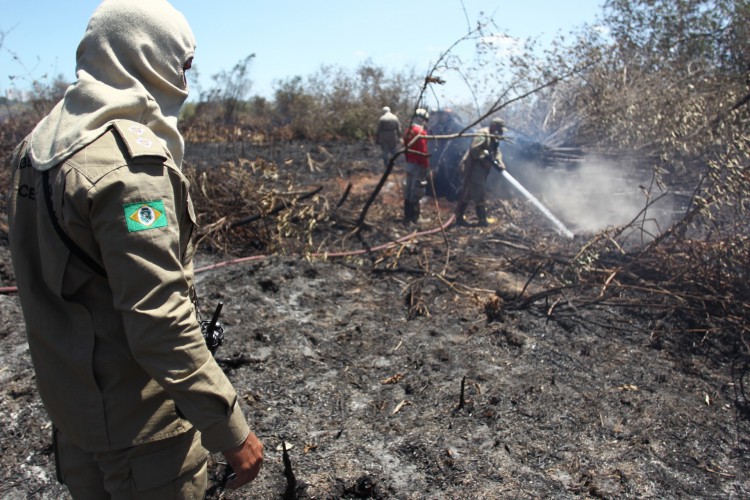 Bombeiros fazem vistoria no Parque do Cocó eliminando possíveis novos focos de incêndio