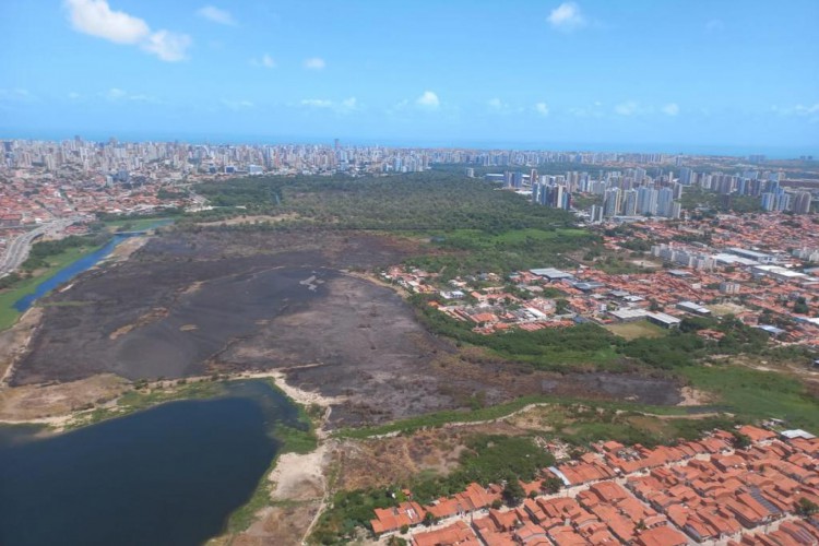 Vista aérea do local atingido pelo incêndio no Parque do Cocó entre 17 e 18 de novembro de 2021