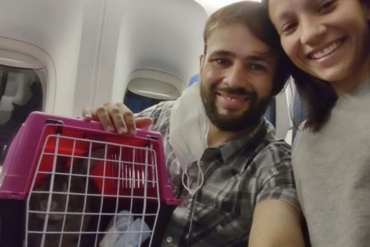 Casal tinha autorização judicial para embarcar o coelho, mas foi impedido por funcionários da companhia aérea holandesa KLM