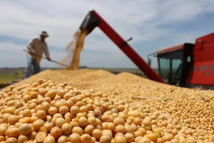 ￼PRODUTOR que desmata é impedido de acessar o crédito