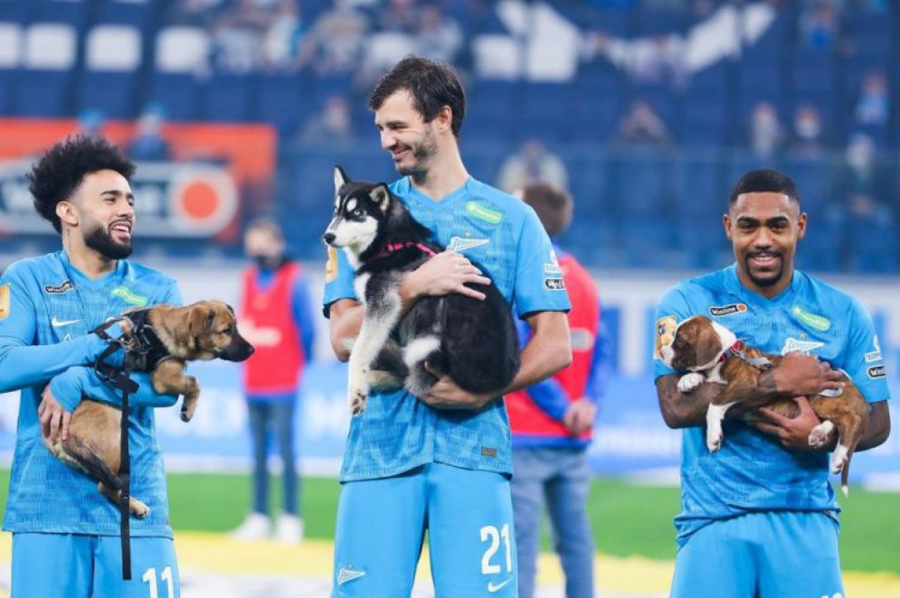 Jogadores entram em campo com cachorros de abrigo no colo; assista - Lance  - R7 Futebol