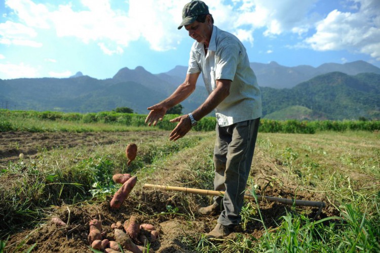 Programa Nacional de Crédito Fundiário (PNCF) prevê carência de 36 meses e juros de 0,5% ao ano.