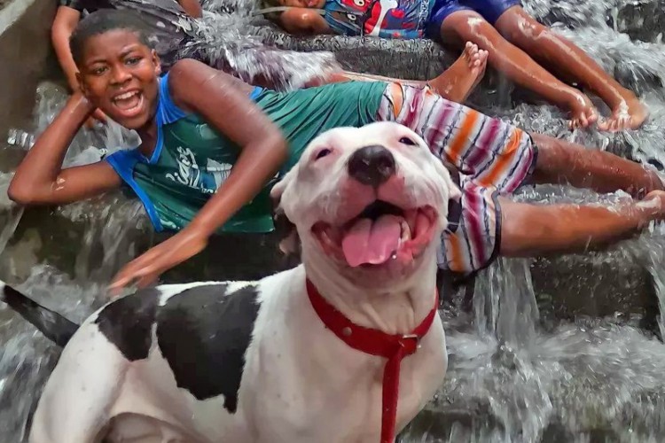 Imagem foi feita por fotógrafa amadora que não disse não esperar pela repercussão que ganhou. 