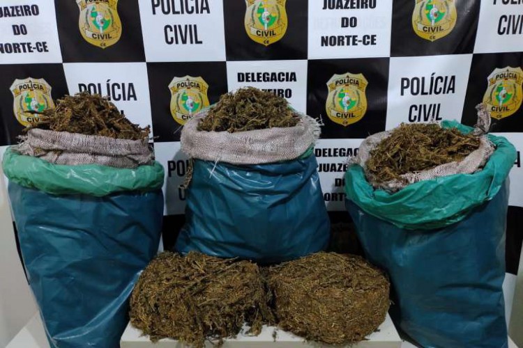 As drogas estavam em três sacos plásticos