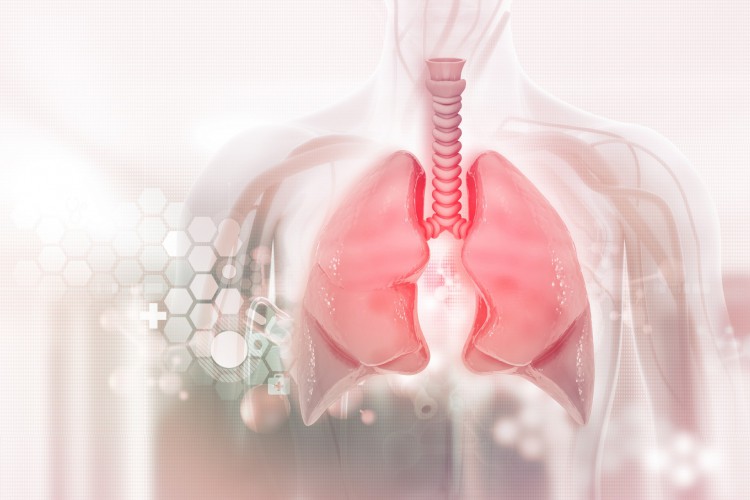 Doenças respiratórias, como Covid-19 e H3N2, podem afetar as vias respiratórias