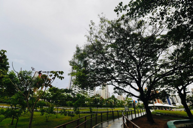 Fortaleza amanheceu com tempo nublado e chuvoso no domingo, 26