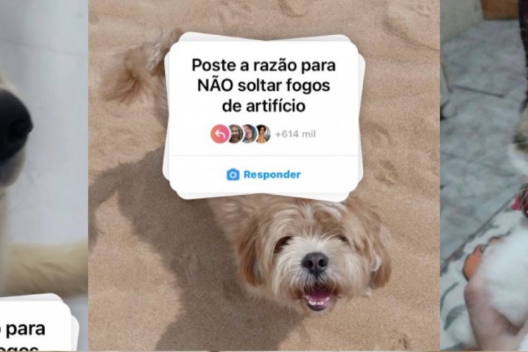 Internautas compartilham fotos de seus animais de estimação com a figurinha 