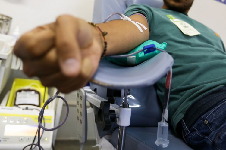 Pode se candidatar para doar sangue qualquer pessoa que esteja saudável, bem alimentada, pesando acima de 50kg, e com idade entre 16 e 69 anos. 