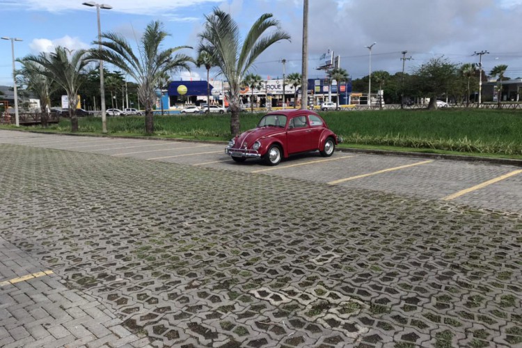 Neste sábado, 15, grupo de apreciadores de carros antigos se reuniu em Fortaleza para celebrar o Dia Nacional do Fusca