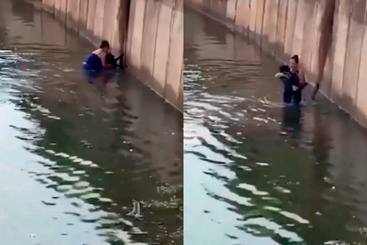 O caso ocorreu em São José do Rio Preto, no interior de São Paulo.