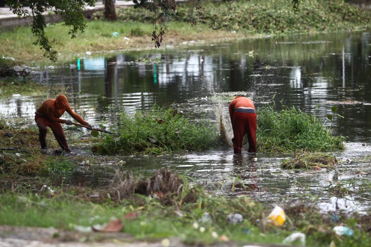 Funcionários da Prefeitura retiram lixo a aguapés da Lagoa da Messejana, nesta quinta-feira, 27