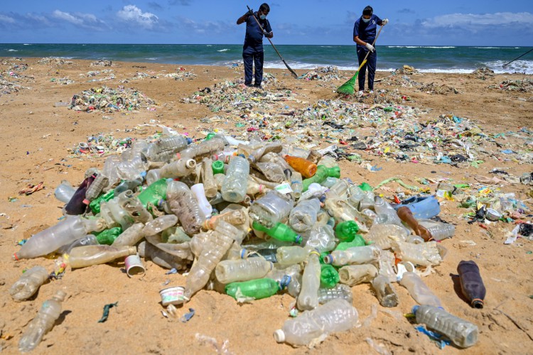 A ação é promovida em alusão ao Dia Mundial do Meio Ambiente