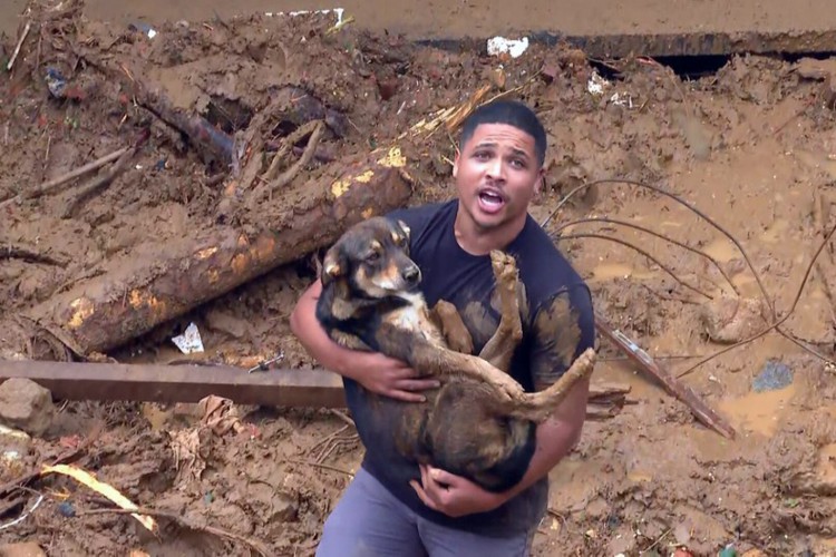 Carlos Menezes leva Pitoco nos braços após reencontrar o animal no alto do Morro da Oficina