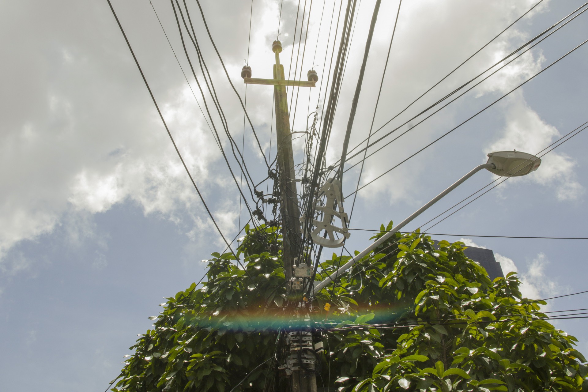 PARTE das ocorrências são causadas pela arborização nas proximidades das instalações elétricas (Foto: Thaís Mesquita/ em 18-2-2022)