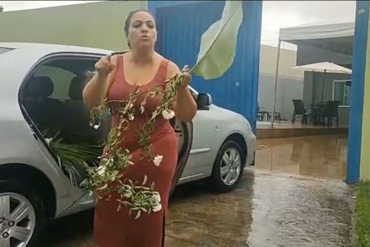 Outros vizinhos também relataram que a suspeita furtou plantas em suas residências. 