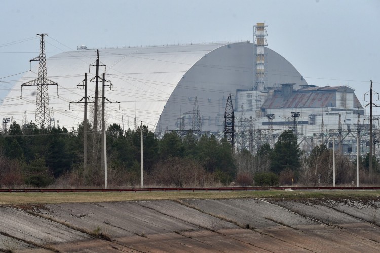 Pesquisadores da NYU estudaram vermes da região da usina de Chernobyl