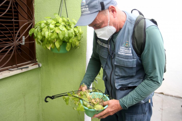 Campanha da Prefeitura de Fortaleza promove ações educativas contra o combate do Aedes aegypti (Foto: Agente de endemia fiscalizando recipiente com foco de Campanha da Prefeitura de Fortaleza promove ações educativas contra o combate do Aedes aegypti)