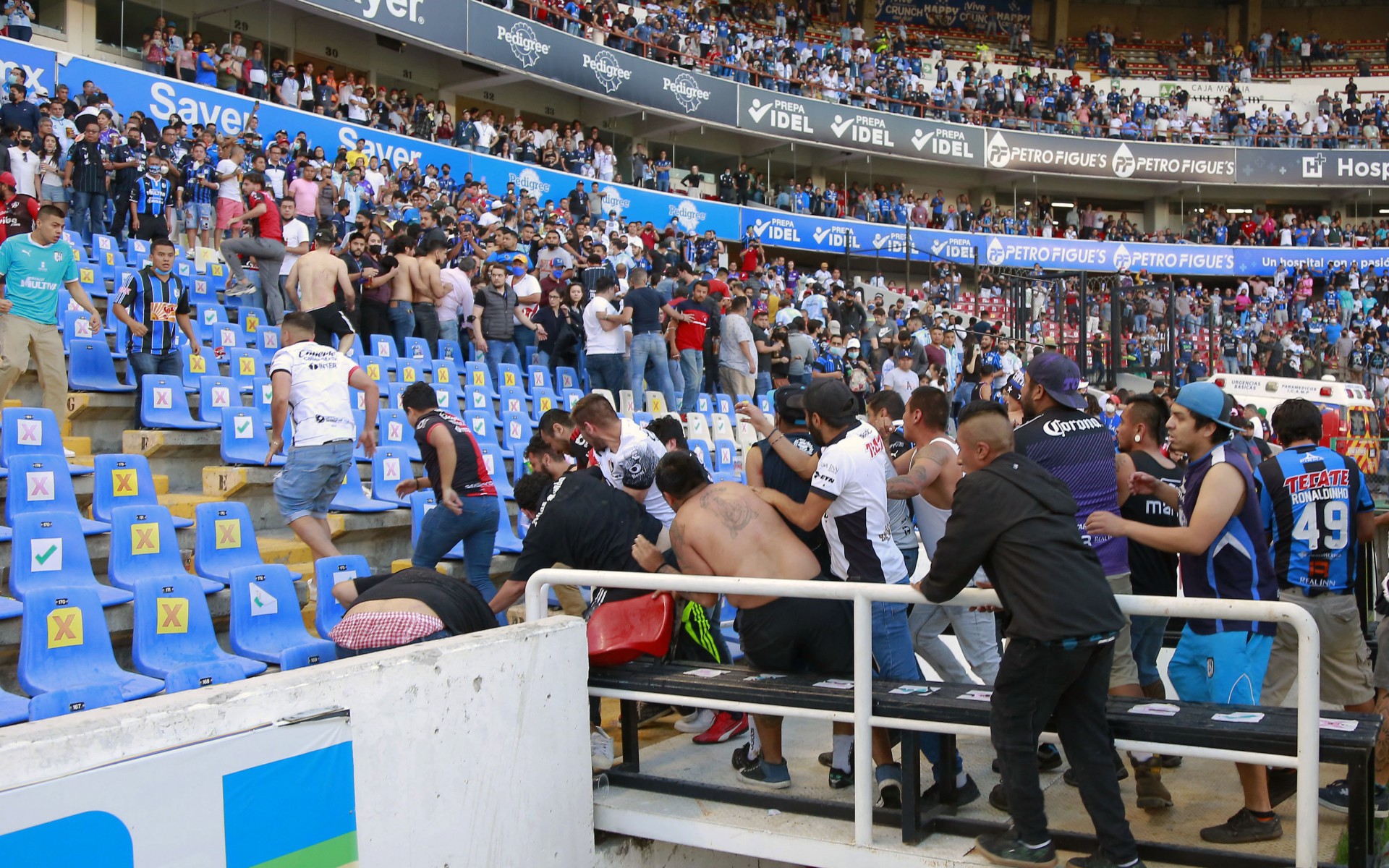 Briga de torcidas no estádio (Foto: EDUARDO GOMEZ/AFP)